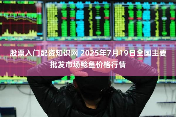 股票入门配资知识网 2025年7月19日全国主要批发市场鲶鱼价格行情