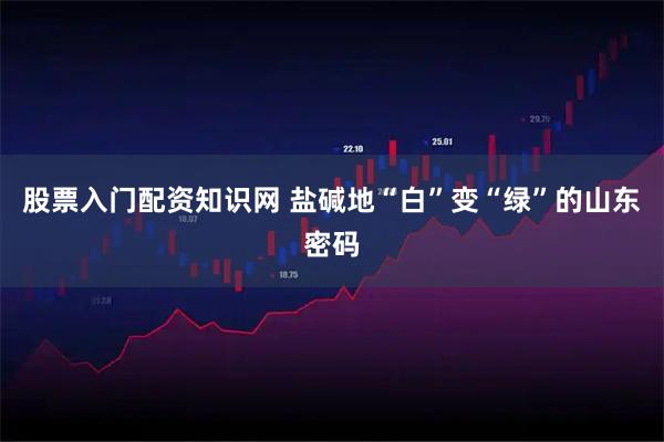 股票入门配资知识网 盐碱地“白”变“绿”的山东密码