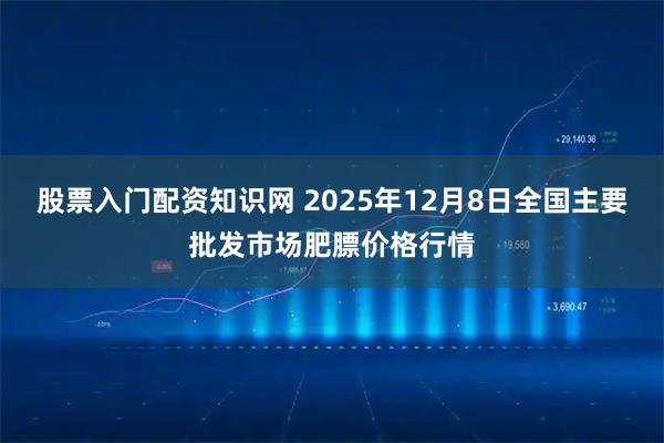 股票入门配资知识网 2025年12月8日全国主要批发市场肥膘价格行情