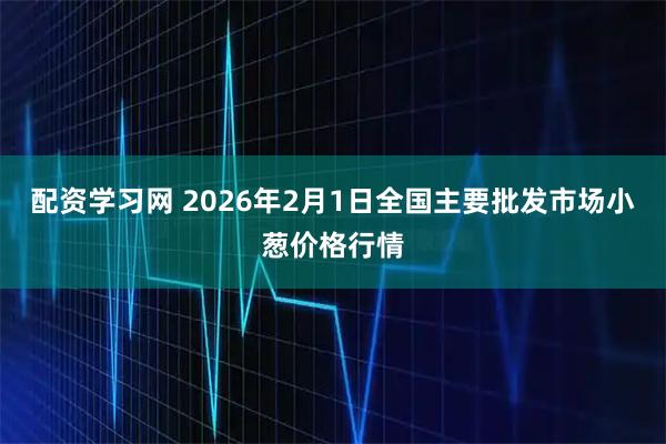 配资学习网 2026年2月1日全国主要批发市场小葱价格行情
