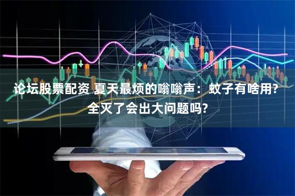 论坛股票配资 夏天最烦的嗡嗡声：蚊子有啥用? 全灭了会出大问题吗?